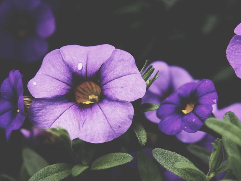 sudoku morning routine